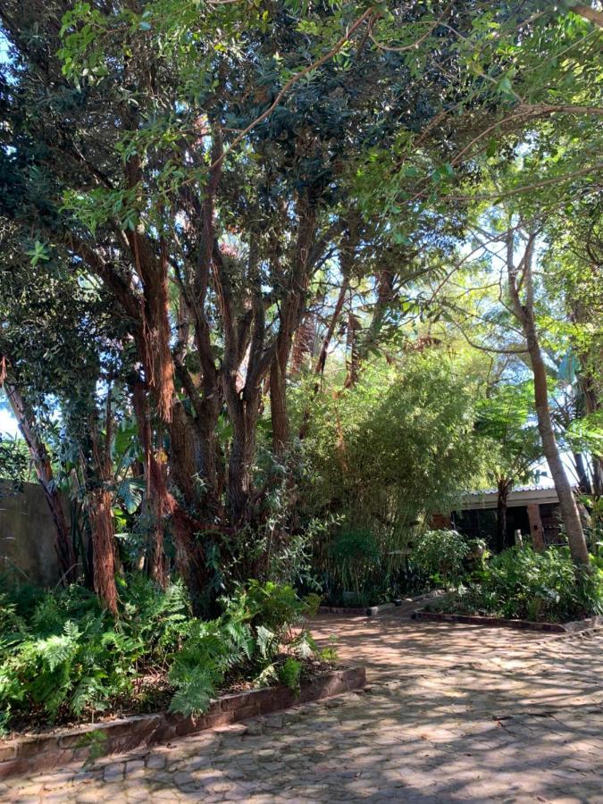 The Secret Garden Hideaway Apartman Mossel Bay Kültér fotó